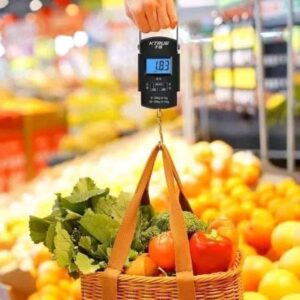 Portable Electronic Scale